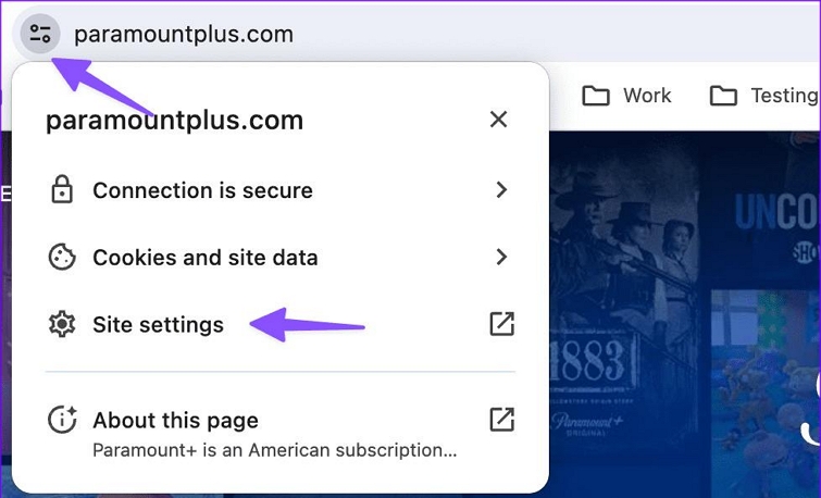choose Site settings | Paramount Plus Error Code 111 