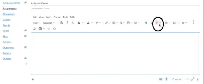 select Plugin | Embed YouTube Videos in Canvas