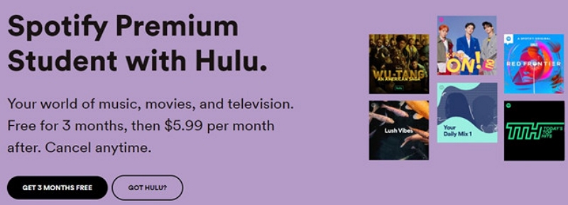 Streaming on a Budget | chegg and hbo max