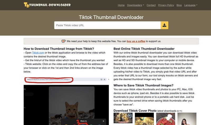 thumbnail-downloader | TikTok Thumbnail Downloaders
