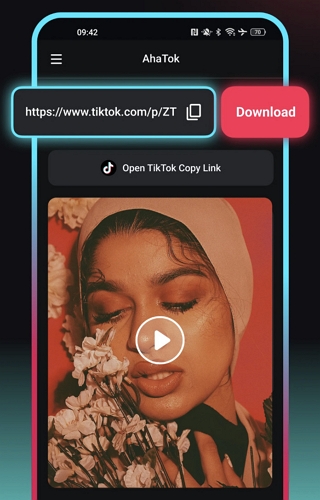 find desired video | TikTok Thumbnail Downloaders