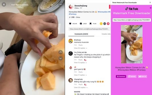 paste images | TikTok Thumbnail Downloaders