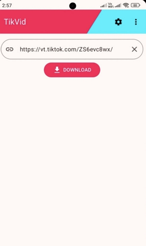 open TikVid | TikTok Thumbnail Downloaders
