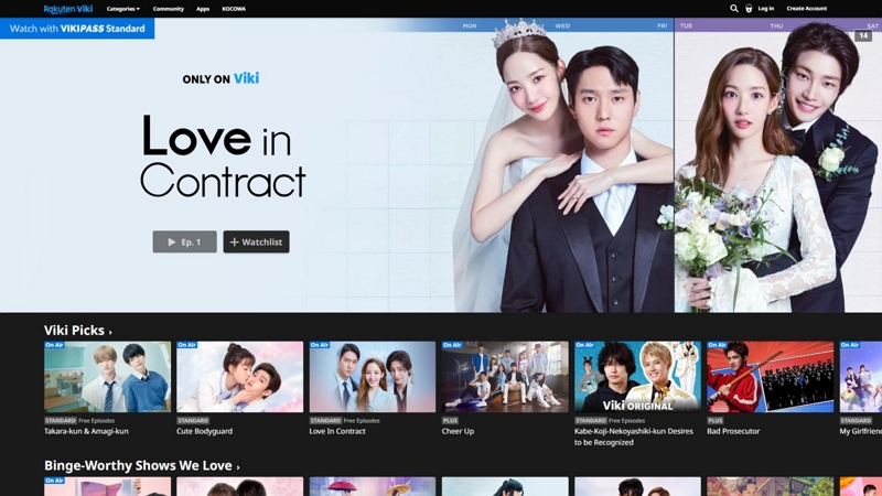 Viki | dramacool alternatives